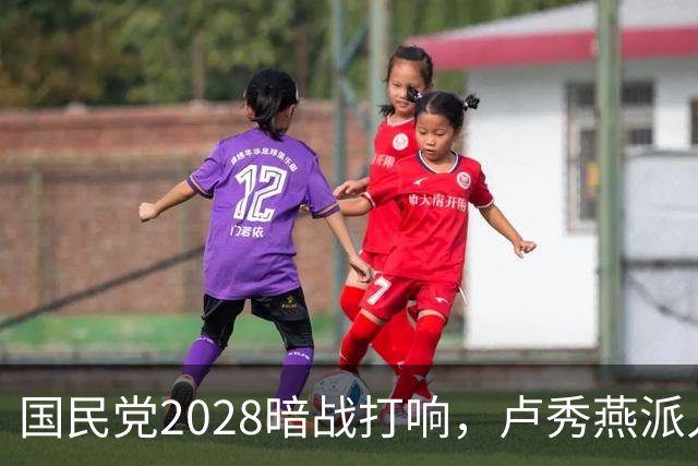 国民党2028暗战打响，卢秀燕派人来东莞参会，郑丽文拒立军令状