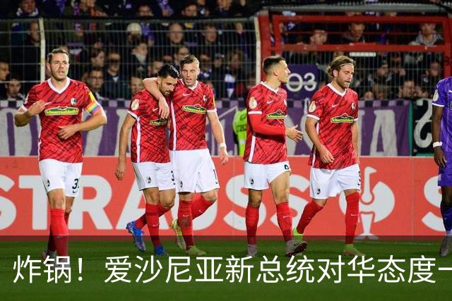 炸锅！爱沙尼亚新总统对华态度一片空白：全程一个字不提中国！