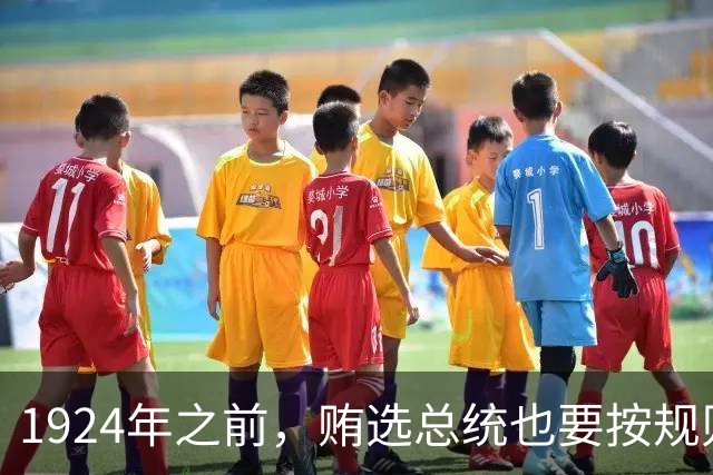 1924年之前，贿选总统也要按规则来；1924年之后，枪杆子直接废了国会——程序正义的崩塌，有多可怕